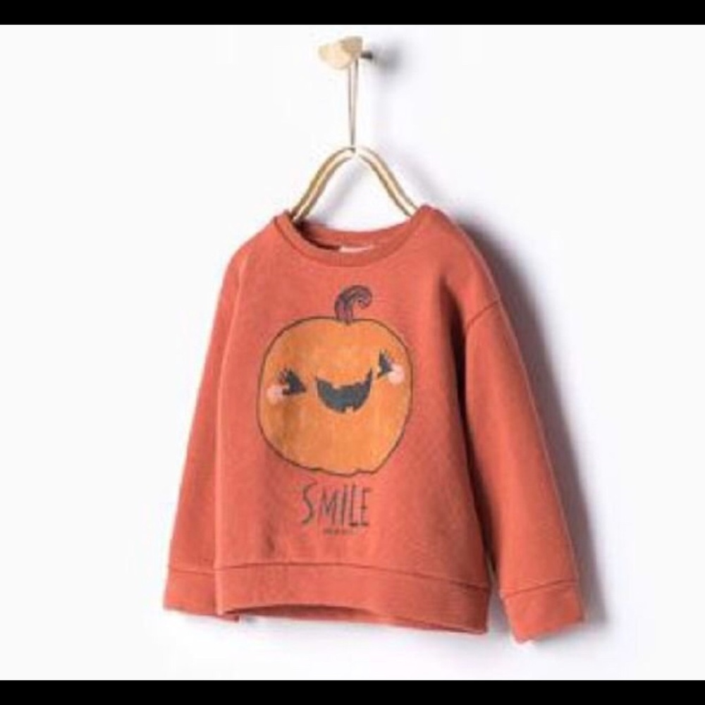 ISO ZARA PUMPKIN SWEATER